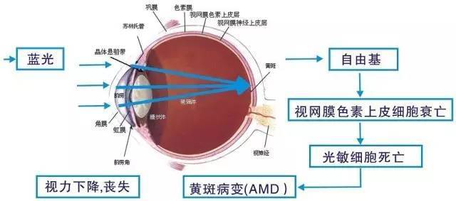 数码眼镜有用吗