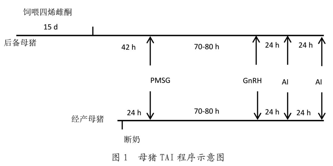 电磁铁，原理、应用与发展趋势